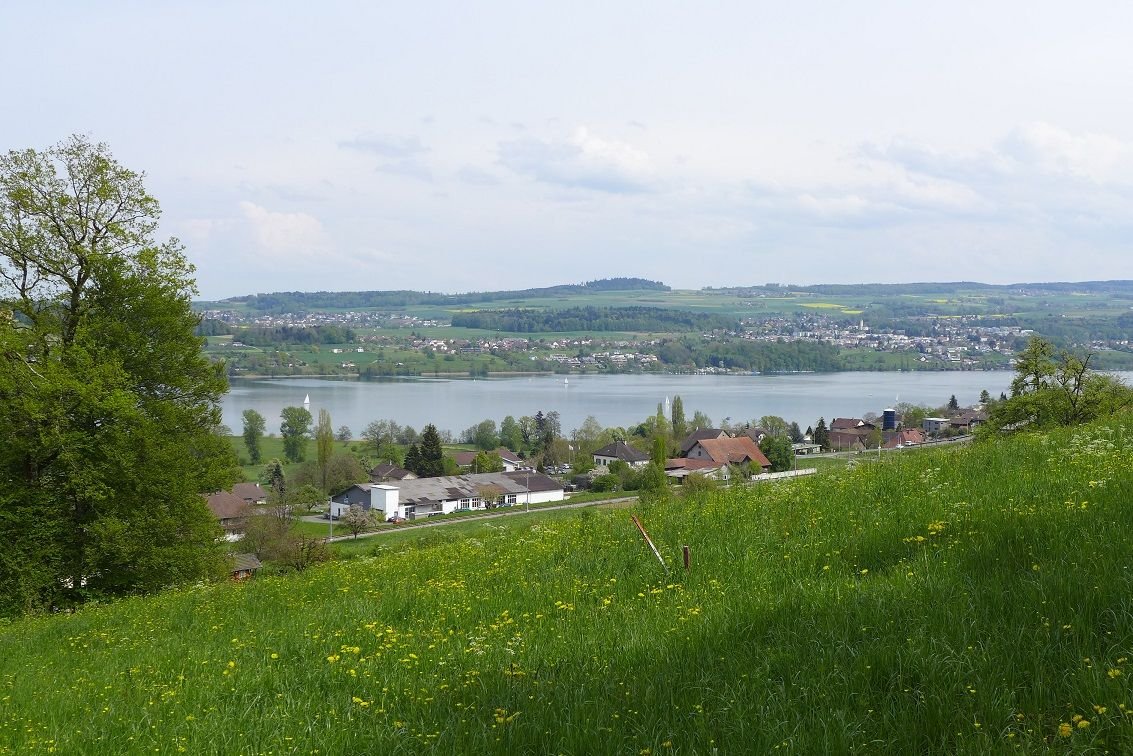 mit Sicht auf den Hallwilersee.JPG