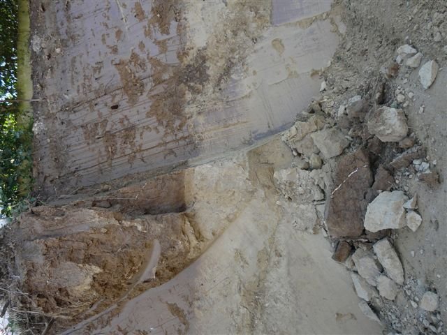 P1000489.JPG