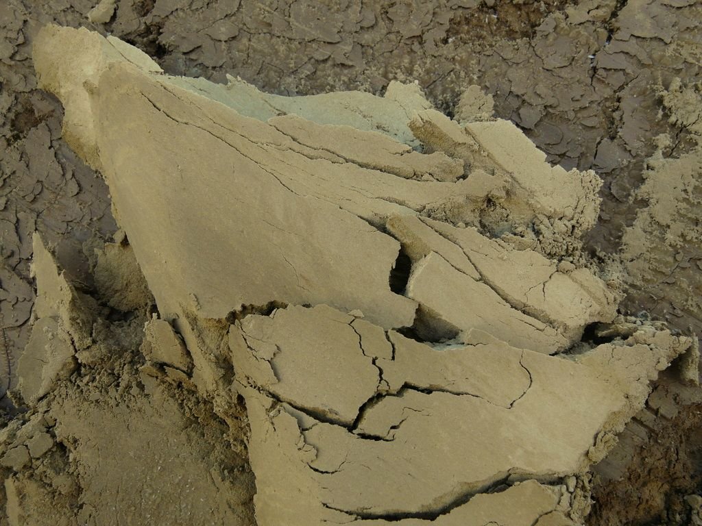 Schoenheit Detail Lehmaushub Binningen-3.JPG