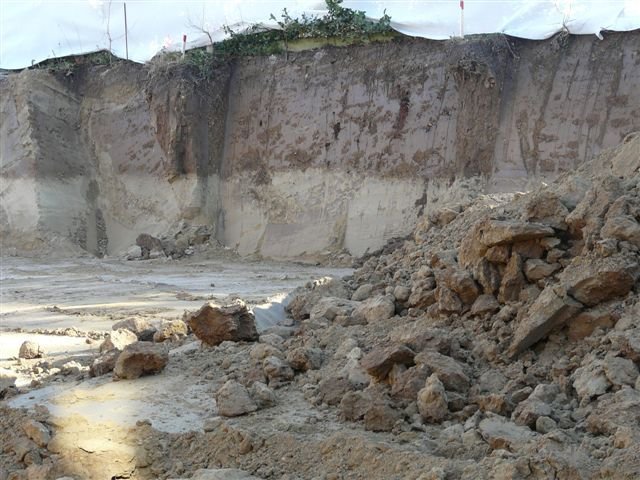 P1000495.JPG