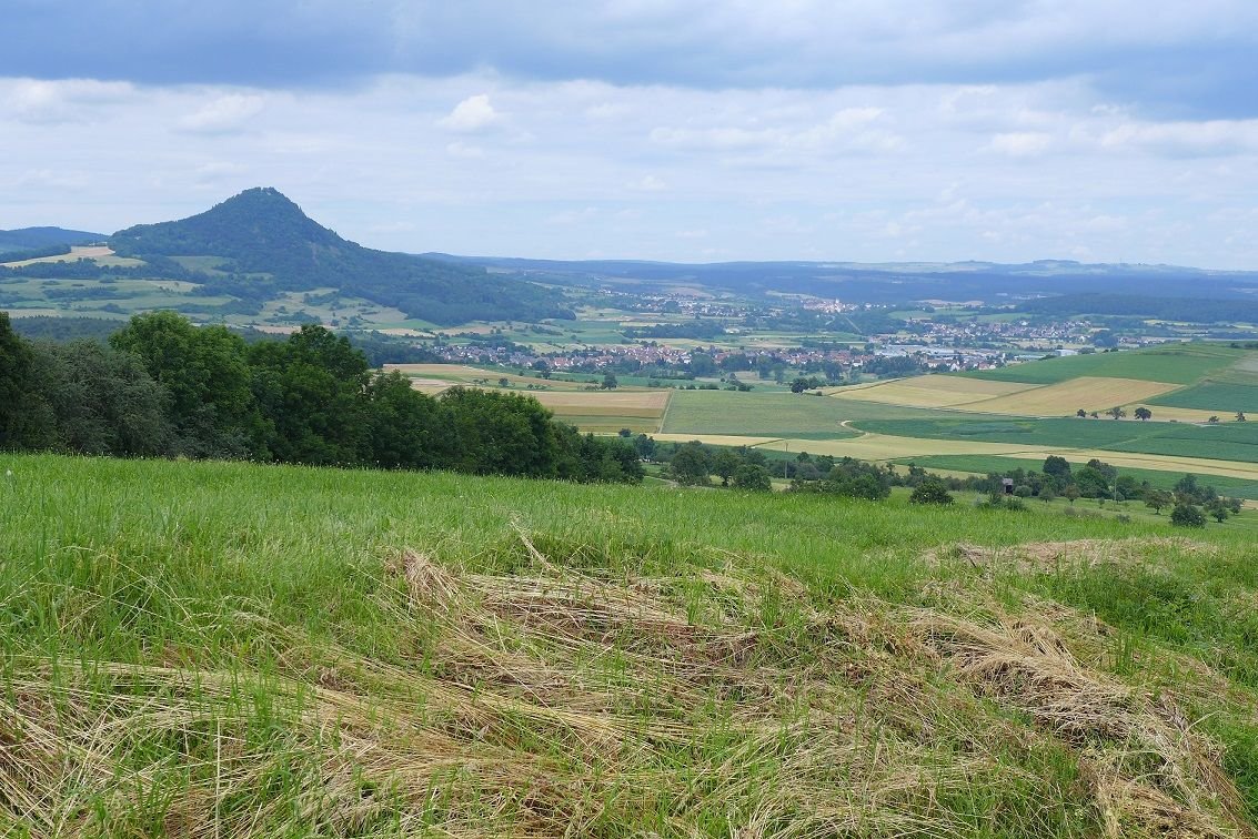 wunderschöne Hegau-Landschaft.JPG