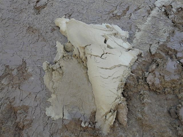 P1000491.JPG