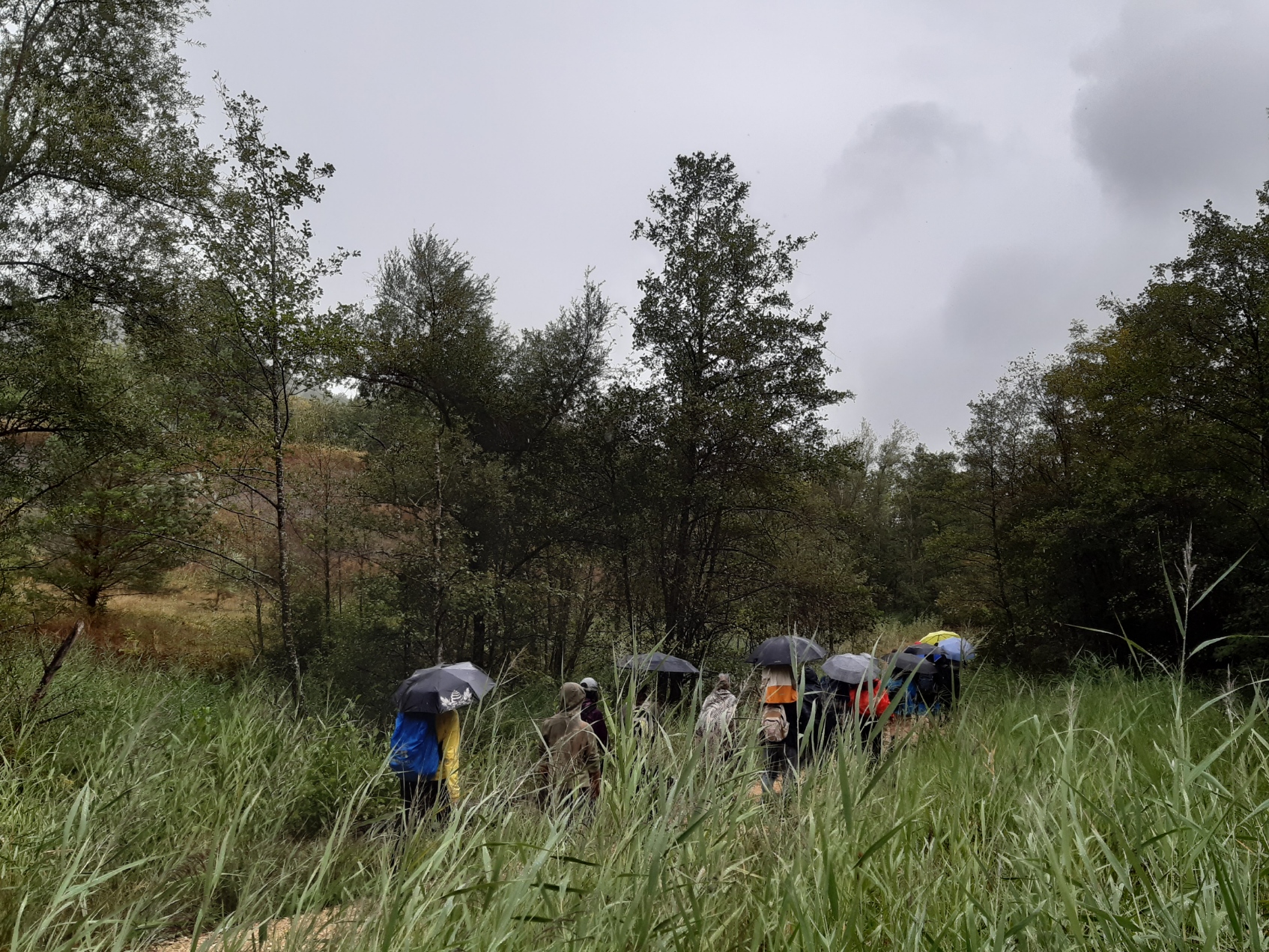 Eriwis mit Gruppe von hinten.jpg