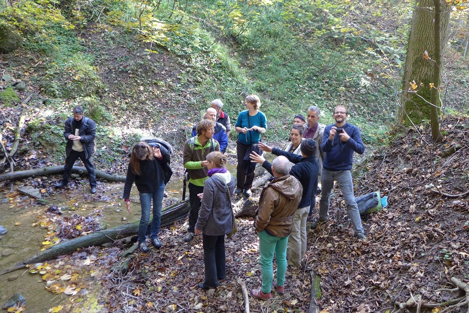 Lehmstandort Wald.JPG