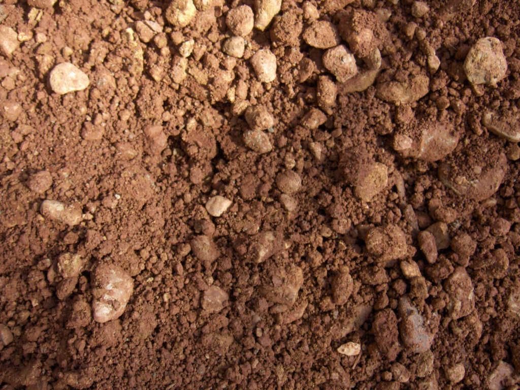 b014.jpg