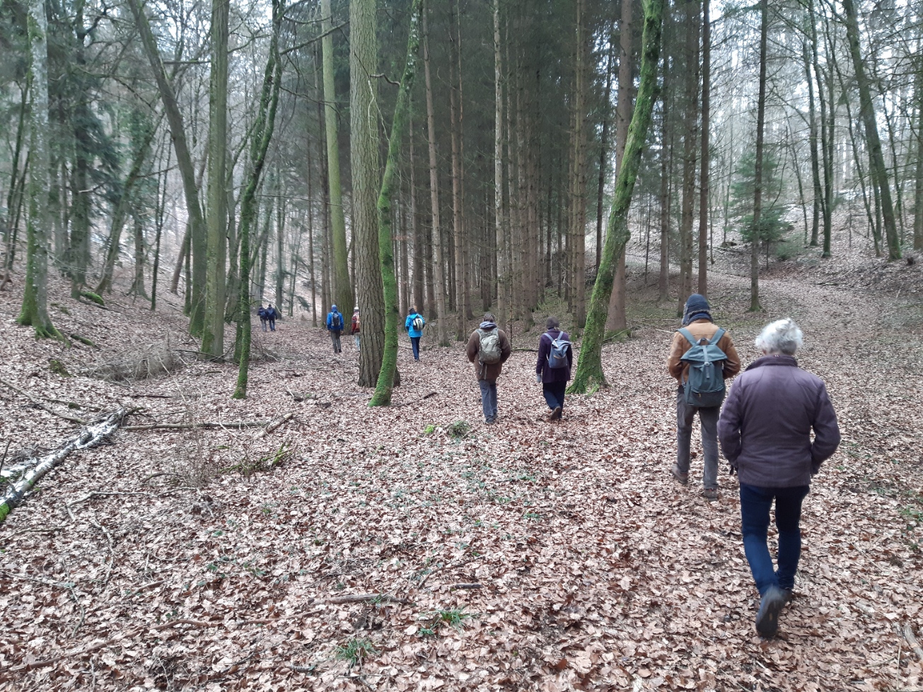 Wandergruppe_auf_dem_Weg_zum_Engeweiher.jpg