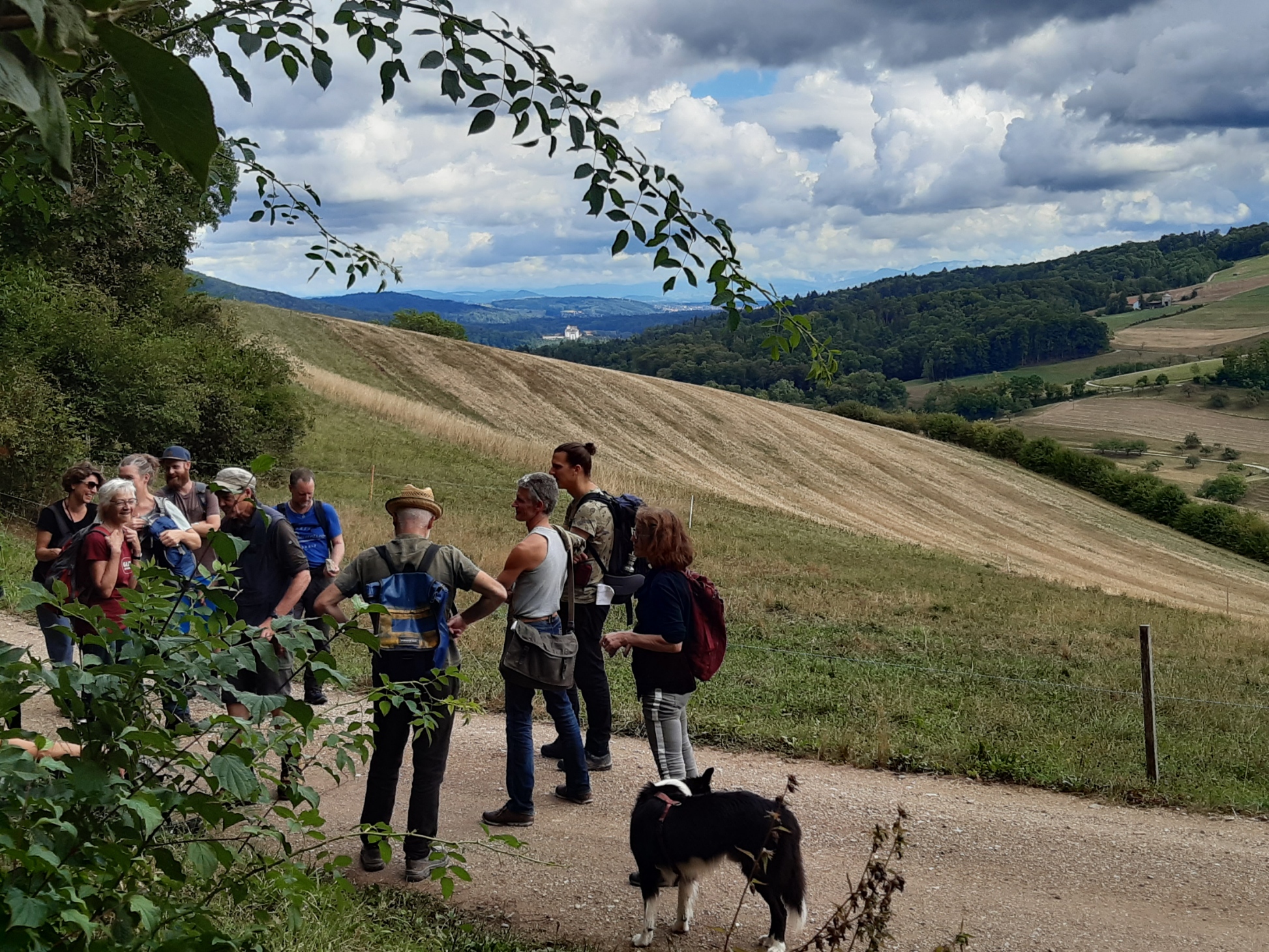 Pause Schloss im Hintergrund.jpg